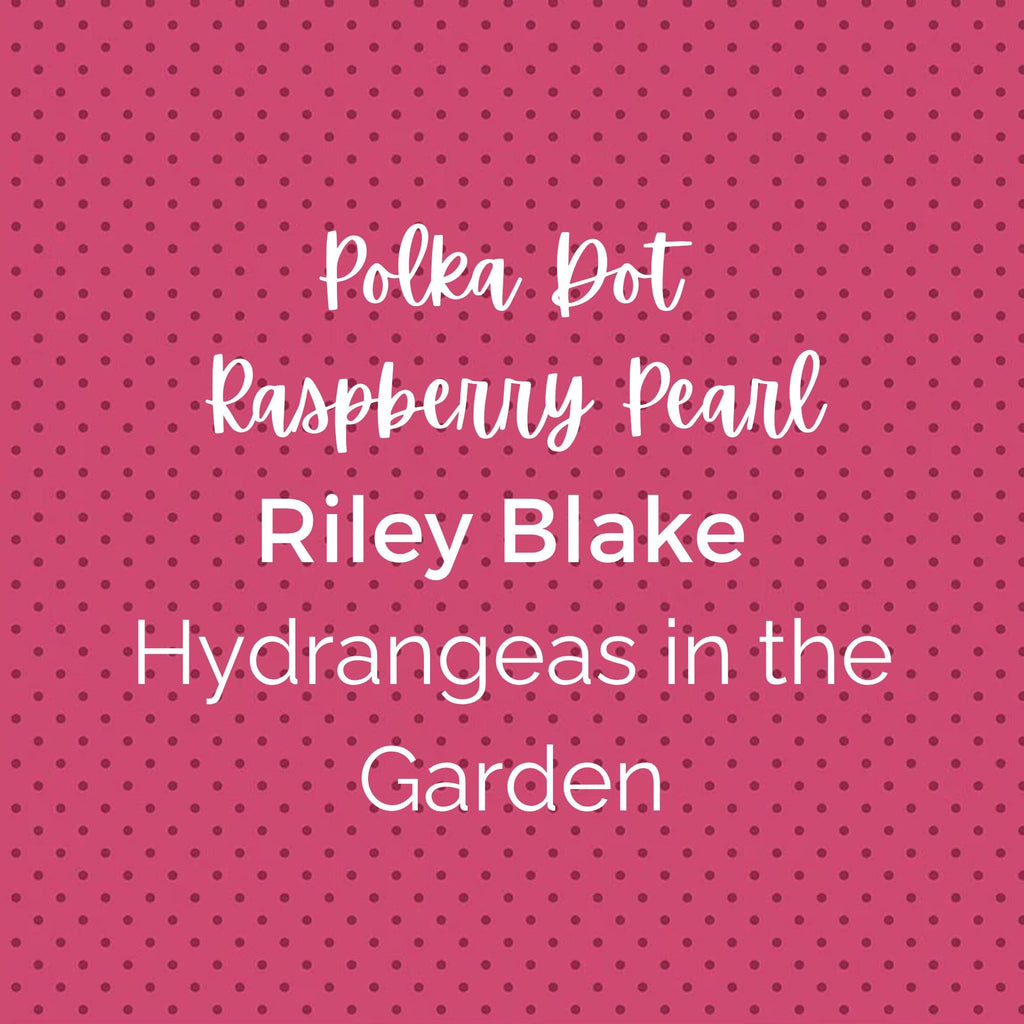 Raspberry Pearl POLKA DOTS/Hydrangeas in the Garden Fabric - Riley Blake Cotton, Quilting Fabric by the Yard
